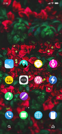 Flowers_DWM20