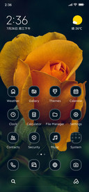 Yellow Rose