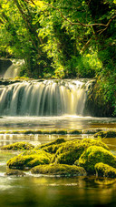Rainforest waterfall 2