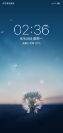 蒲公英的约定