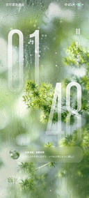 玻璃雨窗白蔷薇