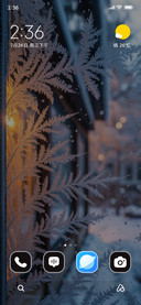 Frost Leaves