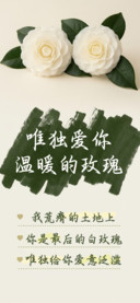 唯独爱你温暖的玫瑰