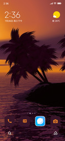 Sunset Palm