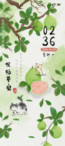 国风青柚