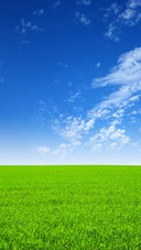 Blue sky and white clouds