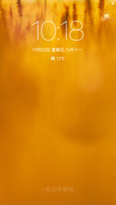 VOTO 标准版