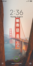Suspension bridge