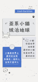 亚系小猫咪统治地球