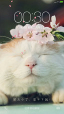 肥猫（好评抽奖动态）