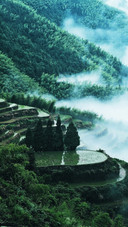 Terraced fields shrouded in mist and clouds