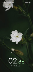 Pearl Bloom