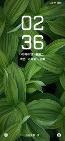 Silky Pro