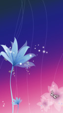 花落知多少