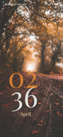 Foggy Path