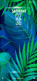 Tropical D Frame