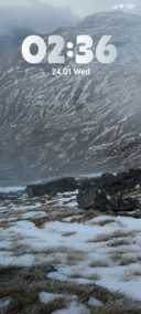 Winter Forest