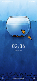 Fish2 NY