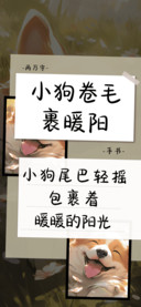 小狗卷毛裹暖阳