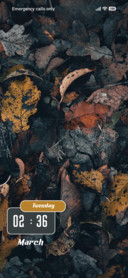 Dry Leaf