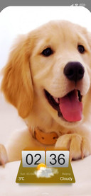 Puppy Si