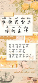 唯独我贪恋你的柔情