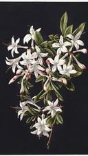 Rijksmuseum2021021924