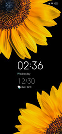FlowerSun On