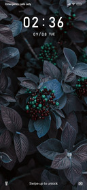Blue Leaf_3MDS