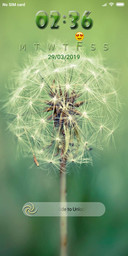  In Designs iOS Dandelion