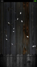 WoodWall