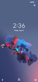 Pixel Double