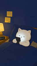 一只猫的日常碎片