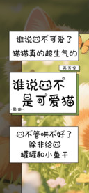 谁说我不是可爱猫