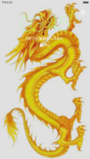 中国龙