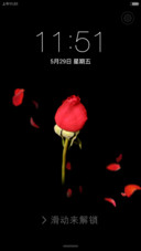 绽放（花开动画解锁+好评返现+自由桌面）