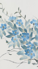倾听花语