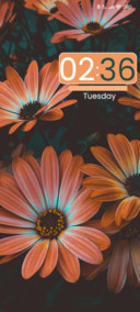 Daisy