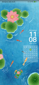 Flower Koi