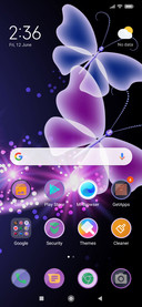 Butterly_DWM19
