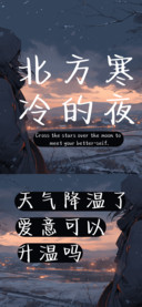 北方寒冷的夜