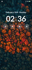 枫树护眼