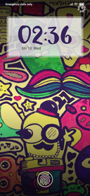 Doodles