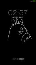 龙猫
