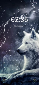 Forest wolf