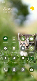 Green Cat