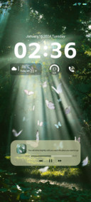 Butterfly Effect
