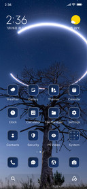 Dry Tree