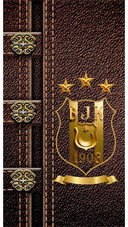 BJK-19