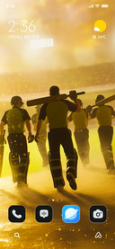 Cricket Storm